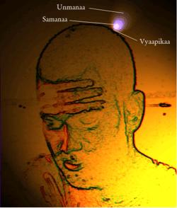Las etapas de Vyaapikaa, Samanaa y Unmanaa